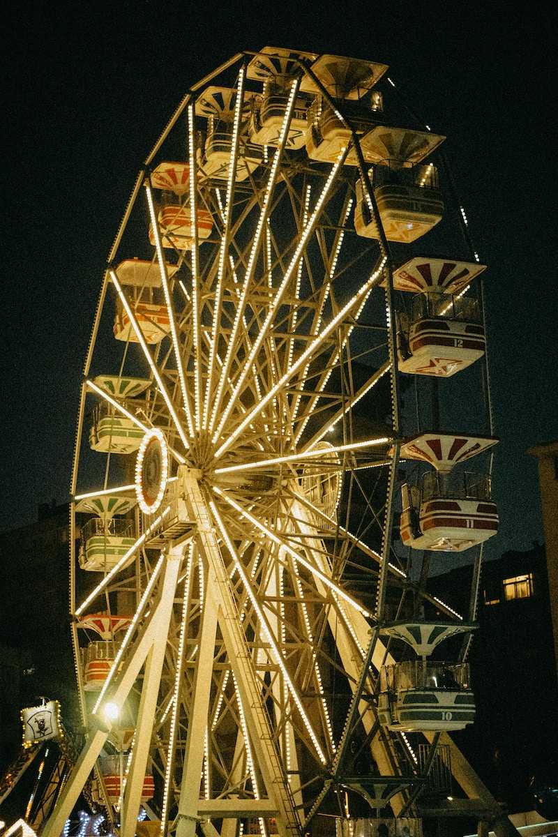 a ferris wheel is lit up at night